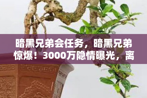 暗黑兄弟会任务，暗黑兄弟惊爆！3000万隐情曝光，离职老兵拍桌怒吼，真相让人吓一跳！