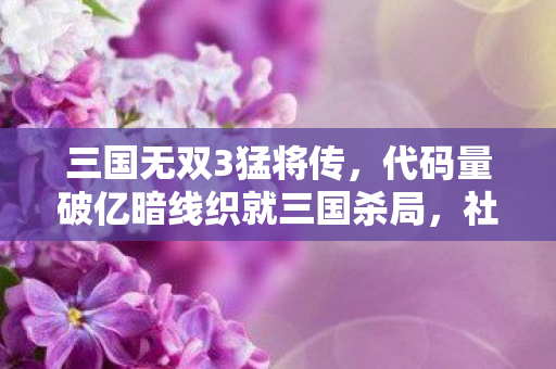 三国无双3猛将传，代码量破亿暗线织就三国杀局，社恐指挥官的头皮发麻逆袭
