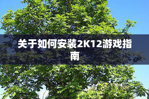 关于如何安装2K12游戏指南 关于如何安装2K12游戏指南