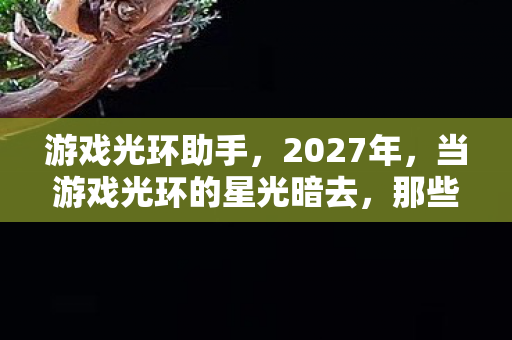 游戏光环助手,2027年,当游戏光环的星光暗去,那些别走让我鼻子一酸 游戏光环助手,2027年,当游戏光环的星光暗去,那些别走让我鼻子一酸