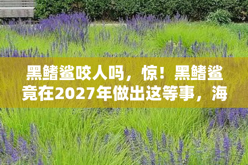黑鳍鲨咬人吗,惊!黑鳍鲨竟在2027年做出这等事,海洋秘密即将揭晓? 黑鳍鲨咬人吗,惊!黑鳍鲨竟在2027年做出这等事,海洋秘密即将揭晓?