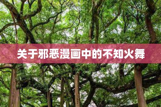 关于邪恶漫画中的不知火舞