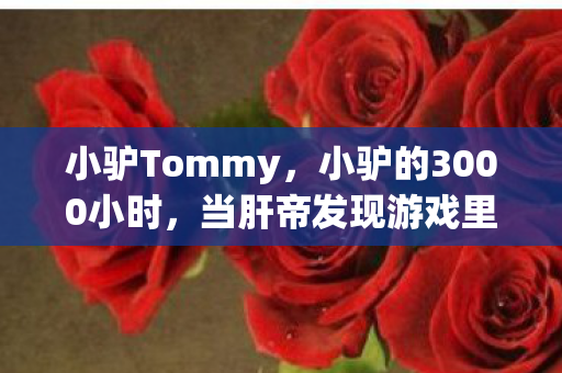小驴Tommy,小驴的3000小时,当肝帝发现游戏里最珍贵的装备,竟是自己的眼泪 小驴Tommy,小驴的3000小时,当肝帝发现游戏里最珍贵的装备,竟是自己的眼泪