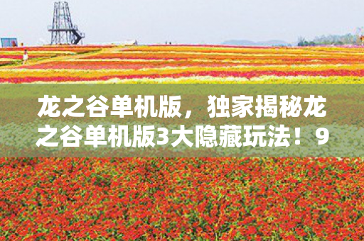 龙之谷单机版,独家揭秘龙之谷单机版3大隐藏玩法!99%玩家错过的沉浸式体验心得 龙之谷单机版,独家揭秘龙之谷单机版3大隐藏玩法!99%玩家错过的沉浸式体验心得