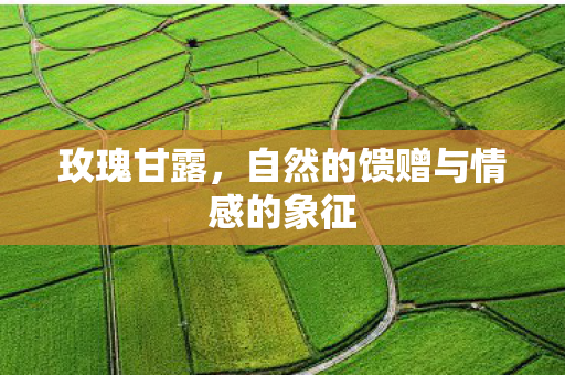 玫瑰甘露，自然的馈赠与情感的象征