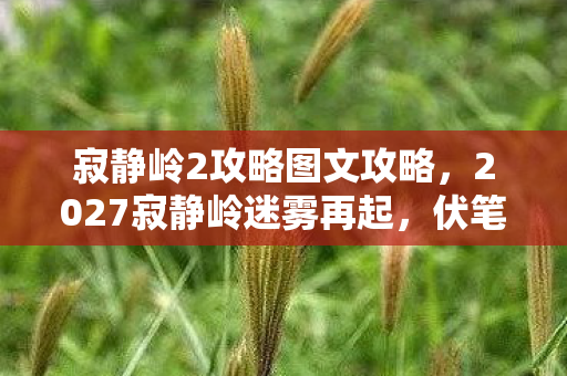 寂静岭2攻略图文攻略,2027寂静岭迷雾再起,伏笔暗藏,回忆翻涌鼻子一酸 寂静岭2攻略图文攻略,2027寂静岭迷雾再起,伏笔暗藏,回忆翻涌鼻子一酸