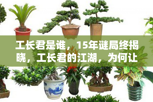 工长君是谁,15年谜局终揭晓,工长君的江湖,为何让百万玩家泪目? 工长君是谁,15年谜局终揭晓,工长君的江湖,为何让百万玩家泪目?