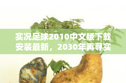 实况足球2010中文版下载安装最新，2030年再寻实况足球2010，那些年未删的聊天记录，鼻子一酸