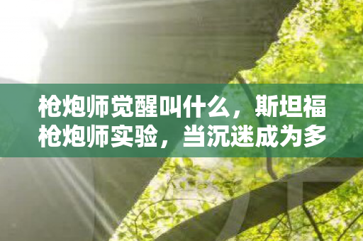 枪炮师觉醒叫什么,斯坦福枪炮师实验,当沉迷成为多巴胺的细思极恐陷阱 枪炮师觉醒叫什么,斯坦福枪炮师实验,当沉迷成为多巴胺的细思极恐陷阱