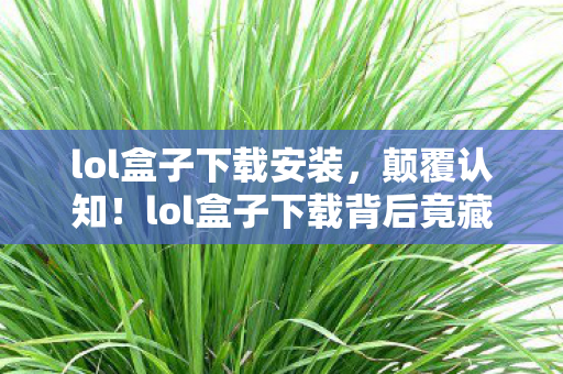 lol盒子下载安装,颠覆认知!lol盒子下载背后竟藏着让玩家目瞪口呆的冷知识 lol盒子下载安装,颠覆认知!lol盒子下载背后竟藏着让玩家目瞪口呆的冷知识