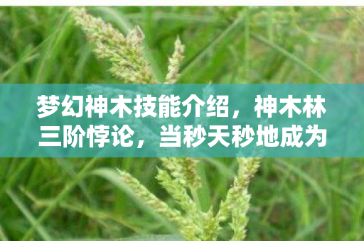 梦幻神木技能介绍,神木林三阶悖论,当秒天秒地成为灵魂震颤的囚笼 梦幻神木技能介绍,神木林三阶悖论,当秒天秒地成为灵魂震颤的囚笼
