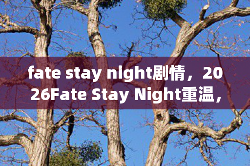 fate stay night剧情,2026Fate Stay Night重温,伏笔揭开时,鼻子一酸忆旧情 fate stay night剧情,2026Fate Stay Night重温,伏笔揭开时,鼻子一酸忆旧情