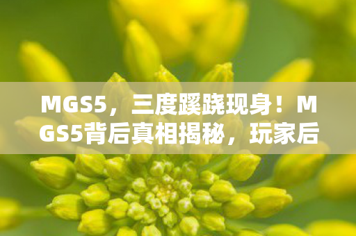 MGS5,三度蹊跷现身!MGS5背后真相揭秘,玩家后背发凉 MGS5,三度蹊跷现身!MGS5背后真相揭秘,玩家后背发凉