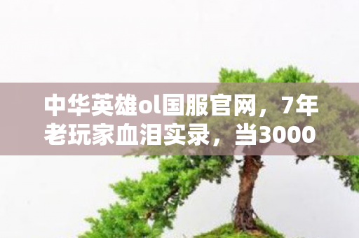 中华英雄ol国服官网,7年老玩家血泪实录,当3000小时肝出的绝版套装,在2027年成了废纸 中华英雄ol国服官网,7年老玩家血泪实录,当3000小时肝出的绝版套装,在2027年成了废纸