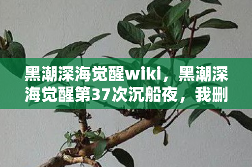 黑潮深海觉醒wiki,黑潮深海觉醒第37次沉船夜,我删掉所有SSR舰娘,却听见她们在回收站哭 黑潮深海觉醒wiki,黑潮深海觉醒第37次沉船夜,我删掉所有SSR舰娘,却听见她们在回收站哭