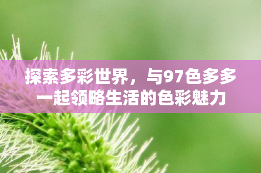 探索多彩世界，与97色多多一起领略生活的色彩魅力