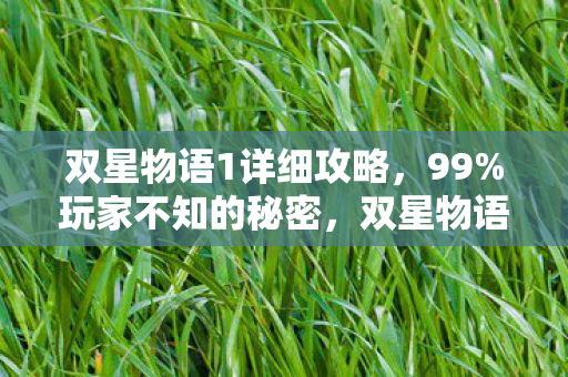 双星物语1详细攻略,99%玩家不知的秘密,双星物语1里藏着多少被遗忘的孤独灵魂? 双星物语1详细攻略,99%玩家不知的秘密,双星物语1里藏着多少被遗忘的孤独灵魂?