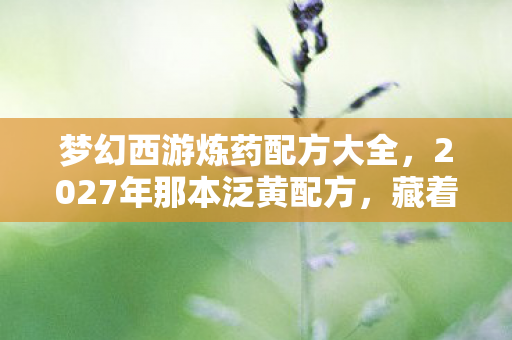 梦幻西游炼药配方大全,2027年那本泛黄配方,藏着没说出口的再见,鼻子一酸才懂 梦幻西游炼药配方大全,2027年那本泛黄配方,藏着没说出口的再见,鼻子一酸才懂