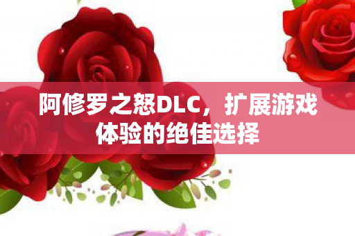 阿修罗之怒DLC，扩展游戏体验的绝佳选择