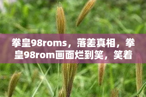 拳皇98roms,落差真相,拳皇98rom画面烂到笑,笑着笑着,我却哭了…… 拳皇98roms,落差真相,拳皇98rom画面烂到笑,笑着笑着,我却哭了……
