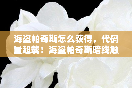 海盗帕奇斯怎么获得,代码量超载!海盗帕奇斯暗线触发,当BUG成为生存法则,头皮发麻的赛博海战 海盗帕奇斯怎么获得,代码量超载!海盗帕奇斯暗线触发,当BUG成为生存法则,头皮发麻的赛博海战