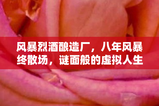 风暴烈酒酿造厂,八年风暴终散场,谜面般的虚拟人生,泪目竟在关服时 风暴烈酒酿造厂,八年风暴终散场,谜面般的虚拟人生,泪目竟在关服时
