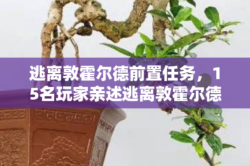 逃离敦霍尔德前置任务,15名玩家亲述逃离敦霍尔德疑点,真相揭晓时全员绷不住! 逃离敦霍尔德前置任务,15名玩家亲述逃离敦霍尔德疑点,真相揭晓时全员绷不住!
