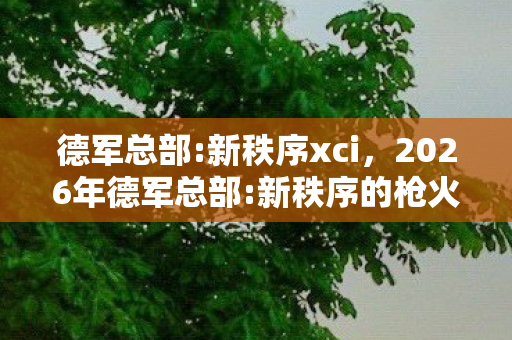德军总部:新秩序xci,2026年德军总部:新秩序的枪火里,藏着未赴的约,鼻子一酸谁懂啊 德军总部:新秩序xci,2026年德军总部:新秩序的枪火里,藏着未赴的约,鼻子一酸谁懂啊