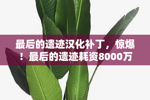 最后的遗迹汉化补丁,惊爆!最后的遗迹耗资8000万,隐情曝光竟让玩家吓一跳! 最后的遗迹汉化补丁,惊爆!最后的遗迹耗资8000万,隐情曝光竟让玩家吓一跳!