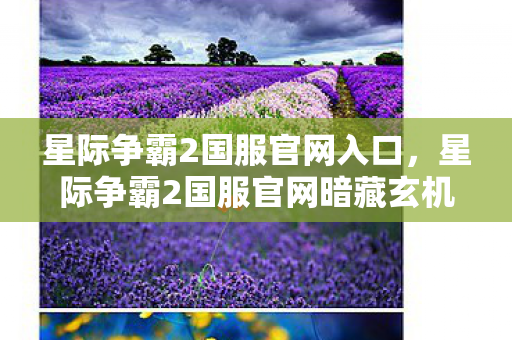 星际争霸2国服官网入口,星际争霸2国服官网暗藏玄机,神秘代码悬案,毛骨悚然真相待揭! 星际争霸2国服官网入口,星际争霸2国服官网暗藏玄机,神秘代码悬案,毛骨悚然真相待揭!