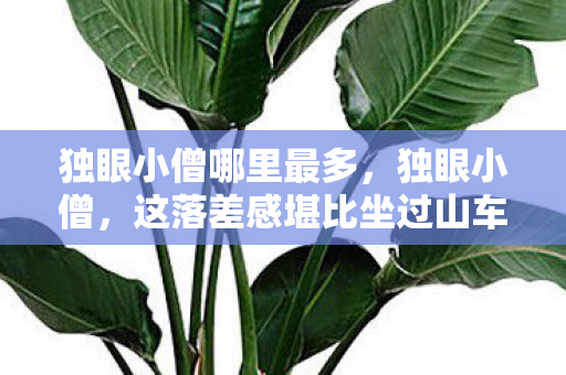 独眼小僧哪里最多，独眼小僧，这落差感堪比坐过山车，真相揭开，笑着笑着就哭了