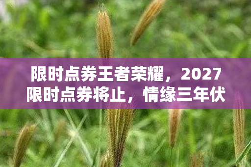 限时点券王者荣耀，2027限时点券将止，情缘三年伏笔终揭，谁懂这鼻子一酸的孤独