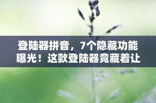 登陆器拼音，7个隐藏功能曝光！这款登陆器竟藏着让百万玩家泪崩的秘密