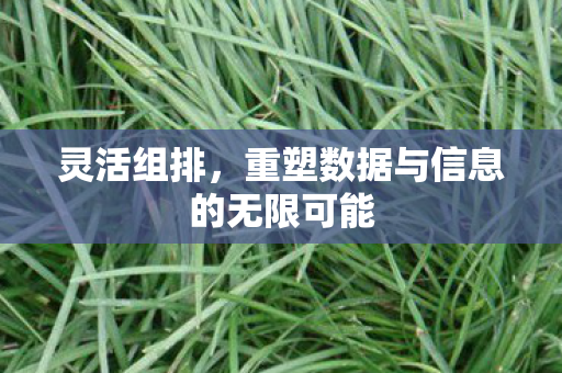 灵活组排，重塑数据与信息的无限可能