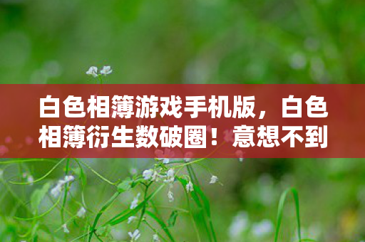 白色相簿游戏手机版,白色相簿衍生数破圈!意想不到跨界,从屏幕直击你妈手机壳! 白色相簿游戏手机版,白色相簿衍生数破圈!意想不到跨界,从屏幕直击你妈手机壳!