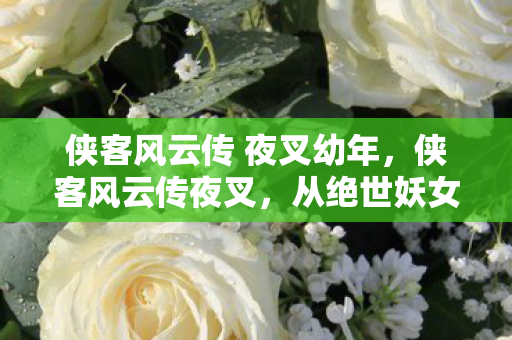 侠客风云传 夜叉幼年,侠客风云传夜叉,从绝世妖女到塑料美人的落差真相,笑着笑着就哭了 侠客风云传 夜叉幼年,侠客风云传夜叉,从绝世妖女到塑料美人的落差真相,笑着笑着就哭了