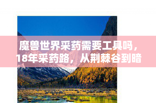 魔兽世界采药需要工具吗,18年采药路,从荆棘谷到暗影界,百万玩家为何泪目? 魔兽世界采药需要工具吗,18年采药路,从荆棘谷到暗影界,百万玩家为何泪目?