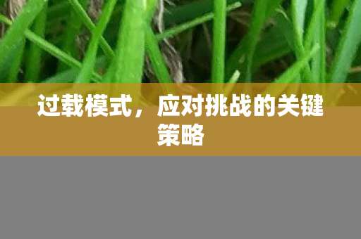 过载模式，应对挑战的关键策略