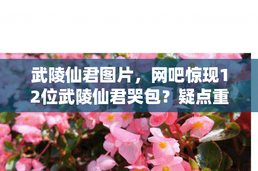 武陵仙君图片,网吧惊现12位武陵仙君哭包?疑点重重,这波我绷不住了! 武陵仙君图片,网吧惊现12位武陵仙君哭包?疑点重重,这波我绷不住了!