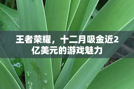王者荣耀，十二月吸金近2亿美元的游戏魅力