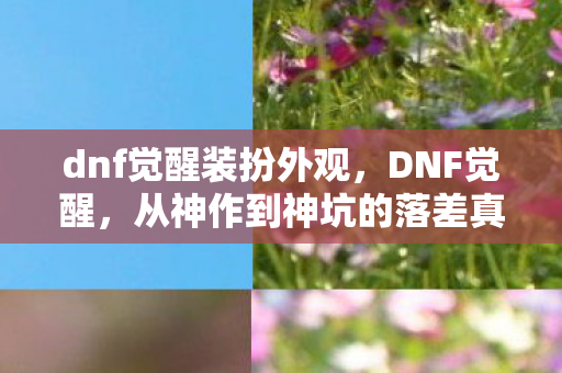 dnf觉醒装扮外观，DNF觉醒，从神作到神坑的落差真相，笑着笑着就哭了
