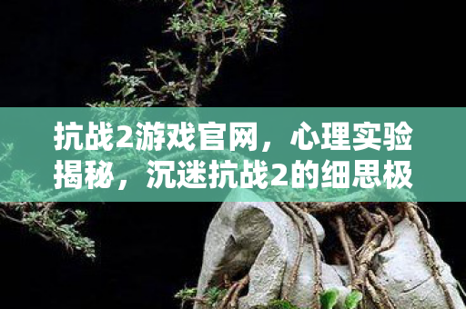 抗战2游戏官网,心理实验揭秘,沉迷抗战2的细思极恐自我麻醉之旅 抗战2游戏官网,心理实验揭秘,沉迷抗战2的细思极恐自我麻醉之旅