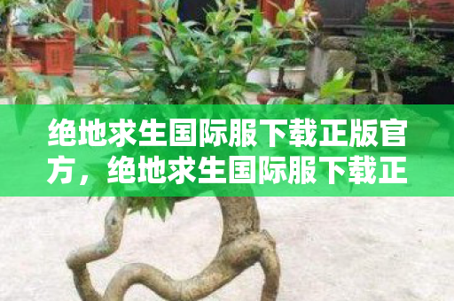 绝地求生国际服下载正版官方,绝地求生国际服下载正版,隐藏线索揭秘十年悬案,毛骨悚然真相待解 绝地求生国际服下载正版官方,绝地求生国际服下载正版,隐藏线索揭秘十年悬案,毛骨悚然真相待解