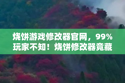 烧饼游戏修改器官网,99%玩家不知!烧饼修改器竟藏着让游戏体验飙升10倍的秘密? 烧饼游戏修改器官网,99%玩家不知!烧饼修改器竟藏着让游戏体验飙升10倍的秘密?