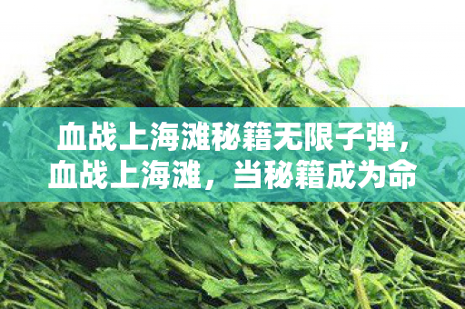 血战上海滩秘籍无限子弹,血战上海滩,当秘籍成为命运枷锁,自由意志在代码层级中震颤 血战上海滩秘籍无限子弹,血战上海滩,当秘籍成为命运枷锁,自由意志在代码层级中震颤