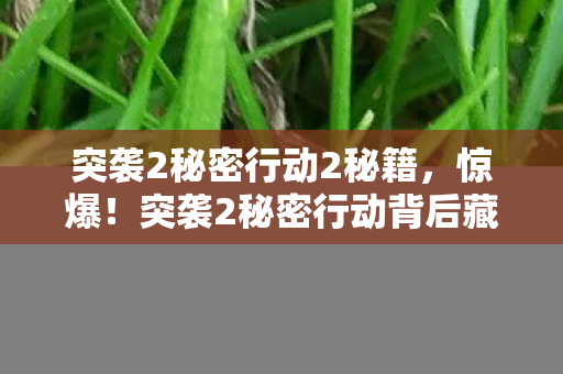 突袭2秘密行动2秘籍,惊爆!突袭2秘密行动背后藏500万隐情,真相曝光让人吓一跳! 突袭2秘密行动2秘籍,惊爆!突袭2秘密行动背后藏500万隐情,真相曝光让人吓一跳!