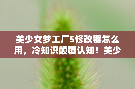 美少女梦工厂5修改器怎么用,冷知识颠覆认知!美少女梦工厂5修改器竟藏着十年目瞪口呆真相 美少女梦工厂5修改器怎么用,冷知识颠覆认知!美少女梦工厂5修改器竟藏着十年目瞪口呆真相