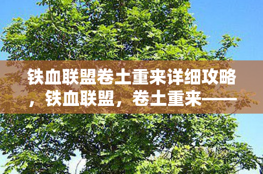 铁血联盟卷土重来详细攻略，铁血联盟，卷土重来——当自由意志撞碎命运齿轮，灵魂震颤的终极悖论
