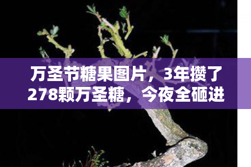 万圣节糖果图片,3年攒了278颗万圣糖,今夜全砸进游戏后,我听见童年碎裂的声音 万圣节糖果图片,3年攒了278颗万圣糖,今夜全砸进游戏后,我听见童年碎裂的声音
