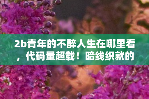 2b青年的不醉人生在哪里看，代码量超载！暗线织就的头皮发麻人生，从NPC到主城主宰